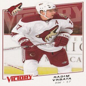Radim Vrbata - 2008/2009 Upper Deck NHL Victory Hockey Card